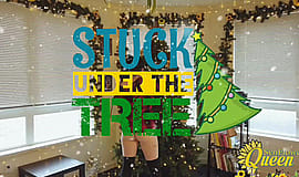 SvnFlowerQueen - Stuck Under The Christmas Tree